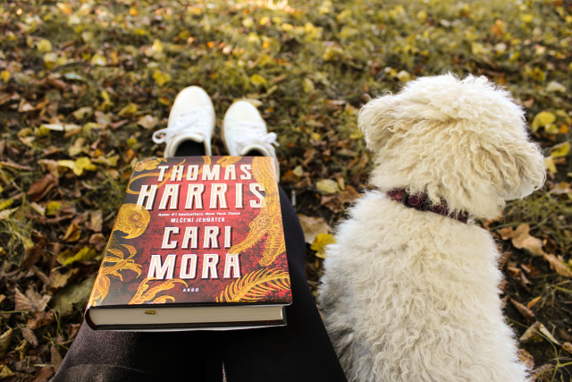 Cari Mora