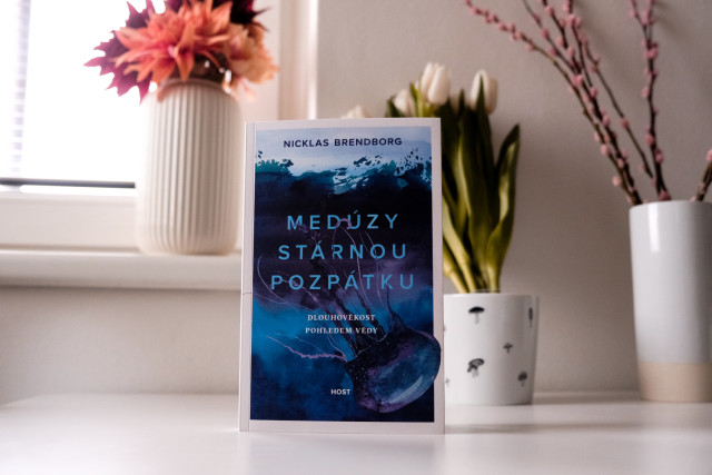 Medúzy stárnou pozpátku: Dlouhověkost pohledem vědy