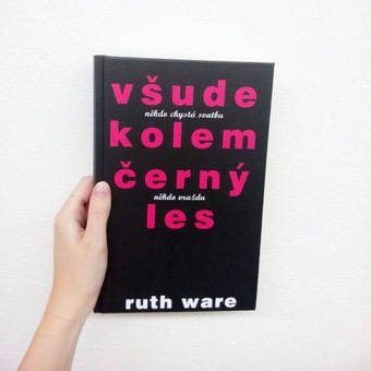 Všude kolem černý les